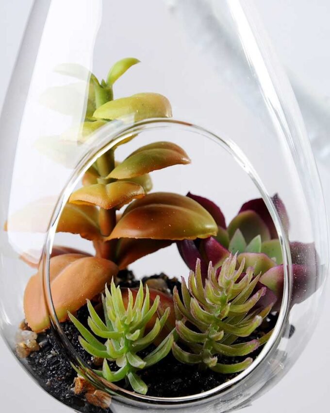 W:8 W:8.5cm H:20cm Desert plant in glass (without string) GS-3030119