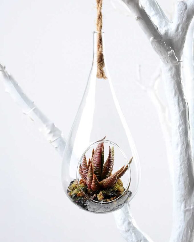 W:7cm H:10cm Desert plant in glass with string GS-3030121 1 W:7cm H:10cm Desert plant in glass with string GS-3030121