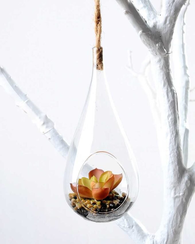 Dia.:7cm H:16cm  Succulent Plant in Glass Ware  GS-3030122