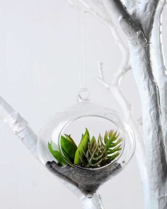 W:8.5cm H:10cm Desert plant in glass (without string) GS-3030123 Succulent YeahFlower is one of Chinese leading OEM manufacturers and exporters , supplying the silk flowers, wholesale artificial trees W:8.5cm H:10cm Desert plant in glass (without string) GS-3030123