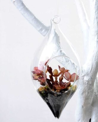 W:7cm H:12cm  Desert plant in glass (without string) GS-3030124