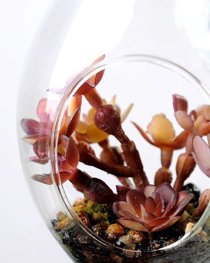 W:7cm H:12cm  Desert plant in glass (without string) GS-3030124