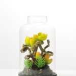 9.5*9.5*15cm Desert plant in grass pot GS-3030167