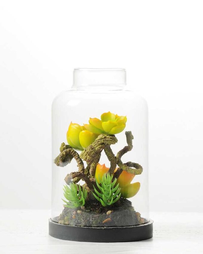 9.5*9.5*15cm Desert plant in grass pot GS-3030167