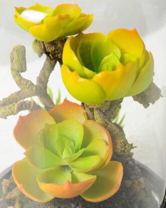 9.5*9.5*15cm Desert plant in grass pot GS-3030167 Succulent YeahFlower is one of Chinese leading OEM manufacturers and exporters , supplying the silk flowers, wholesale artificial trees 9.5*9.5*15cm Desert plant in grass pot GS-3030167