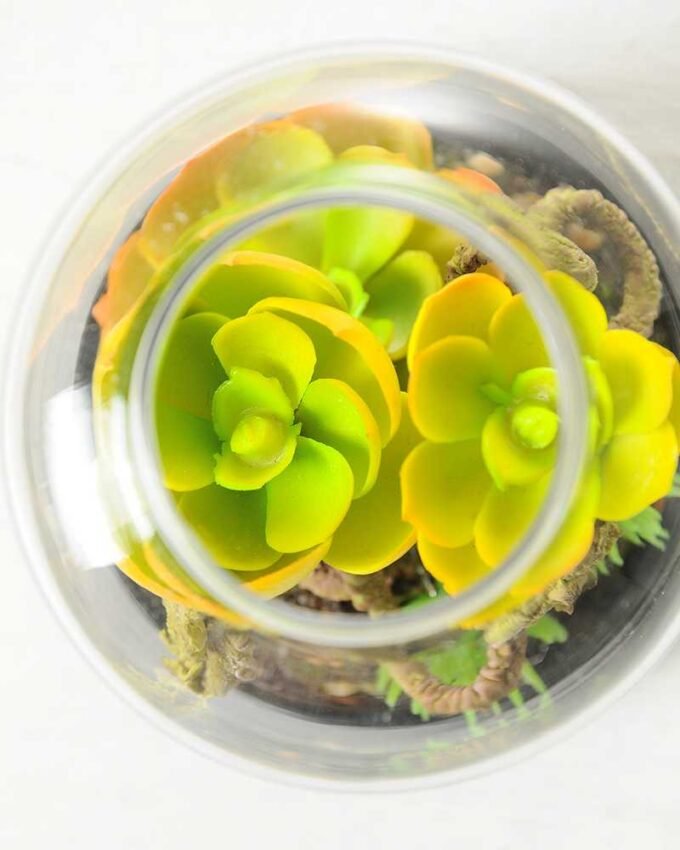 9.5*9.5*15cm Desert plant in grass pot GS-3030167