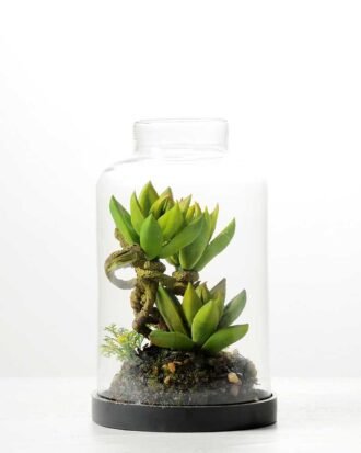 9.5*9.5*15cm Desert plant in grass pot GS-3030168