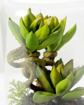 9.5*9.5*15cm Desert plant in grass pot GS-3030168