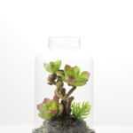 9.5*9.5*15cm Desert plant in grass pot GS-3030169