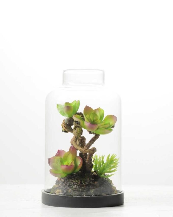 9.5*9.5*15cm Desert plant in grass pot GS-3030169