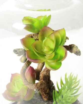 9.5*9.5*15cm Desert plant in grass pot GS-3030169