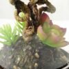 9.5*9.5*15cm Desert plant in grass pot GS-3030169