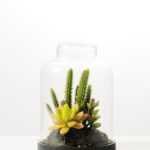 13*13*18cm Desert plant in grass pot GS-3030170