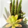 13*13*18cm Desert plant in grass pot GS-3030170 2 13*13*18cm Desert plant in grass pot GS-3030170