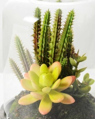 13*13*18cm Desert plant in grass pot GS-3030170