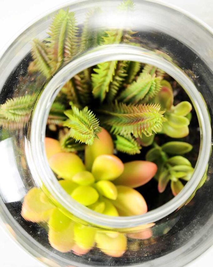 13*13*18cm Desert plant in grass pot GS-3030170 3 13*13*18cm Desert plant in grass pot GS-3030170