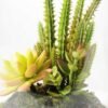 13*13*18cm Desert plant in grass pot GS-3030170 4 13*13*18cm Desert plant in grass pot GS-3030170