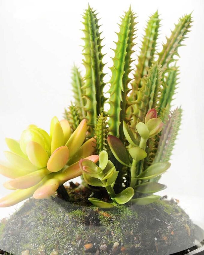 13*13*18cm Desert plant in grass pot GS-3030170 4 13*13*18cm Desert plant in grass pot GS-3030170