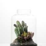 13*13*18cm Desert plant in grass pot GS-3030171