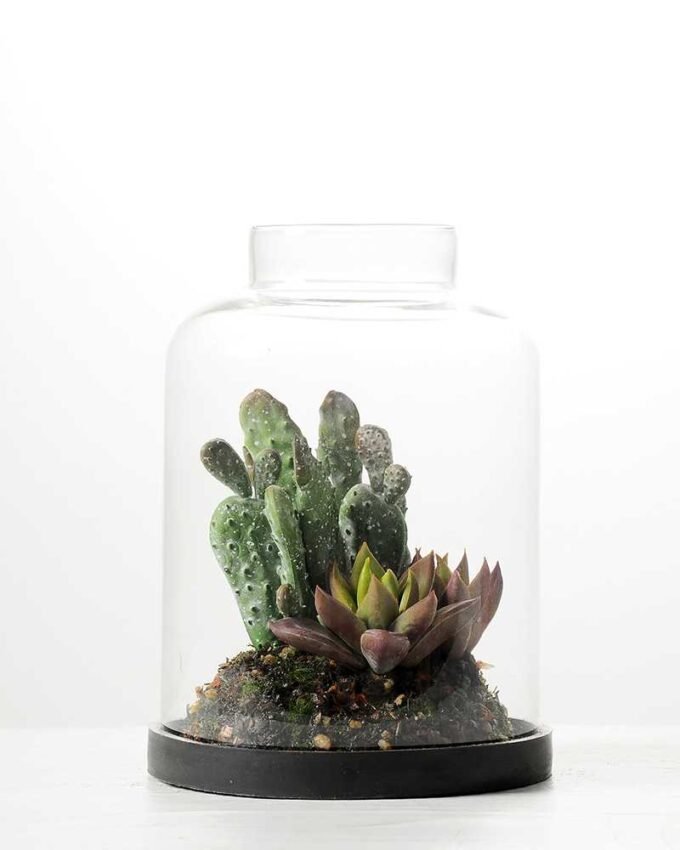 13*13*18cm Desert plant in grass pot GS-3030171