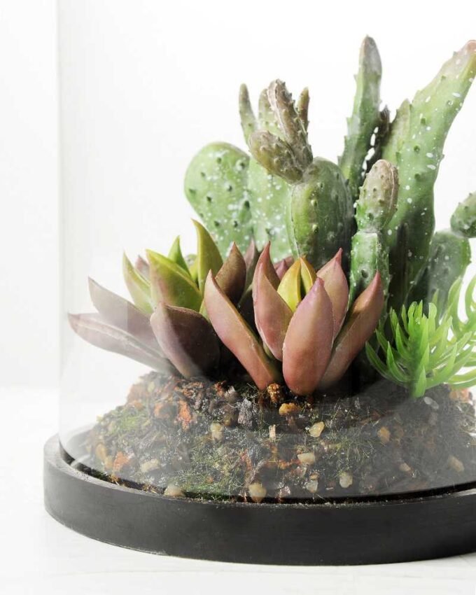 13*13*18cm Desert plant in grass pot GS-3030171