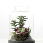 13*13*18cm Desert plant in grass pot GS-3030172
