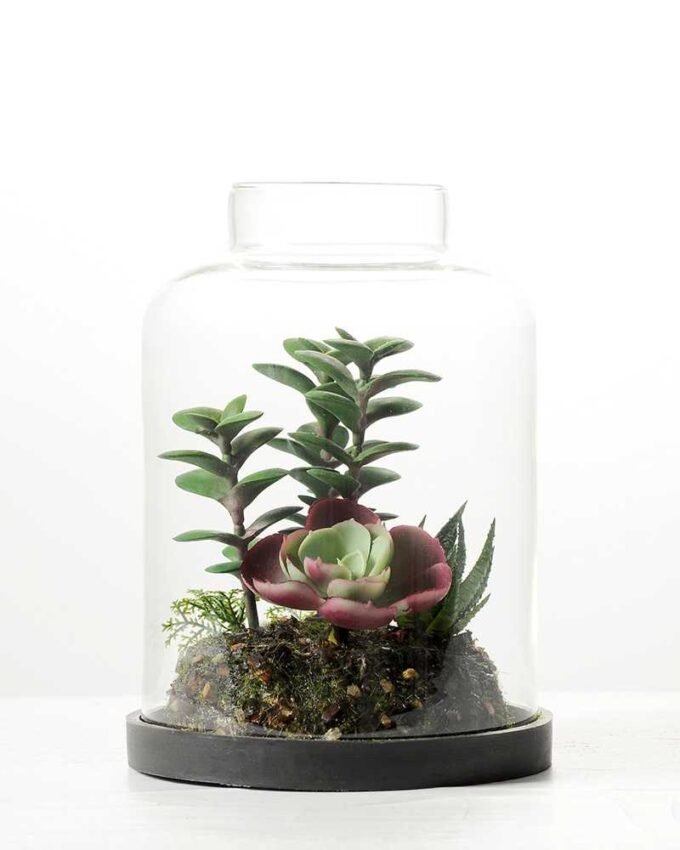 13*13*18cm Desert plant in grass pot GS-3030172