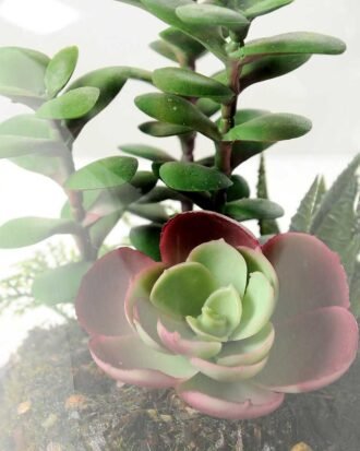 13*13*18cm Desert plant in grass pot GS-3030172