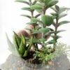 13*13*18cm Desert plant in grass pot GS-3030172