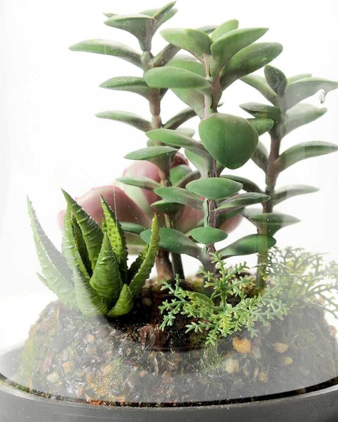 13*13*18cm Desert plant in grass pot GS-3030172