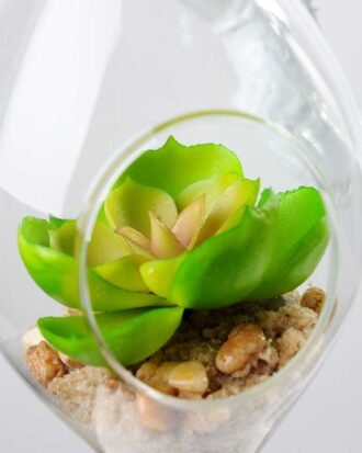 Dia.:9cm H:16cm Succulent Plant in Glass Ware GS-3030194
