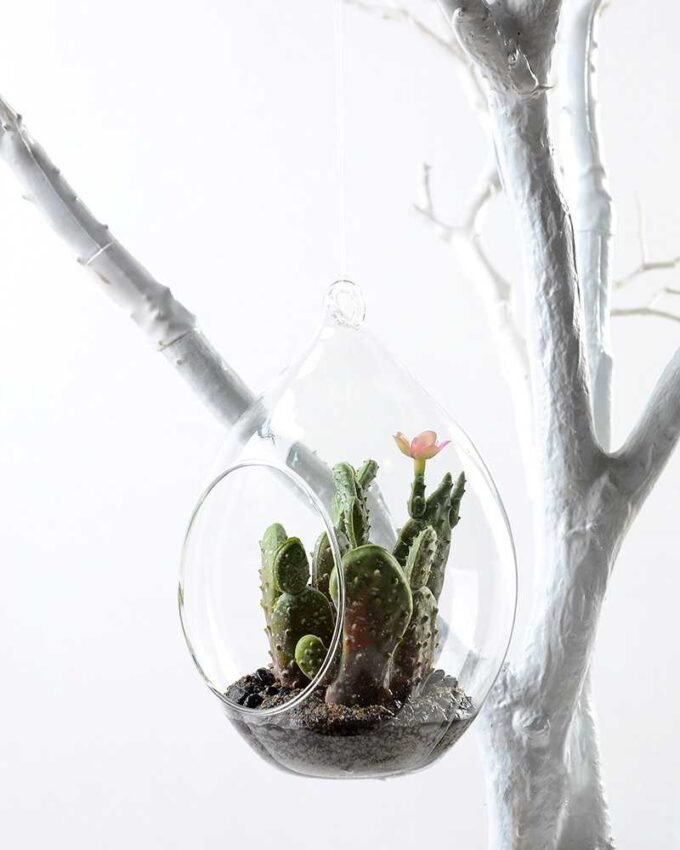 W11 H17CM Desert plant in glass 100mm GS-3030205