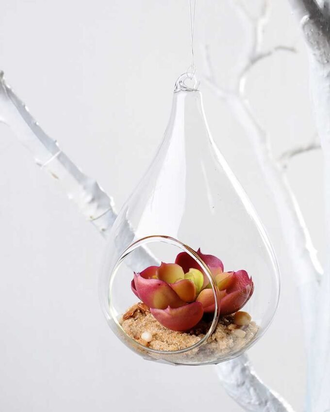 Dia.:7cm H:12cm Succulent Plant in Glass Ware GS-3030226