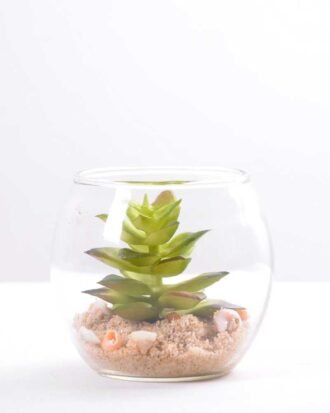 6*6*7CM Succulent plants in round glass cup GS-3030309 Succulent YeahFlower is one of Chinese leading OEM manufacturers and exporters , supplying the silk flowers, wholesale artificial trees 6*6*7CM Succulent plants in round glass cup GS-3030309