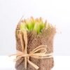 7*7*11cm Succulent plants in Burlap wrap GS-3030314 1 7*7*11cm Succulent plants in Burlap wrap GS-3030314