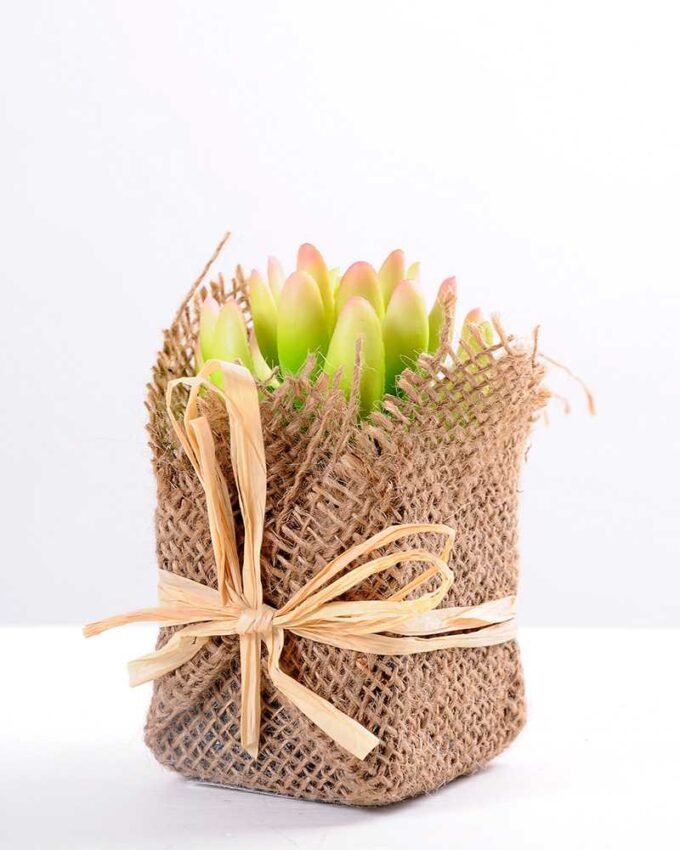 7*7*11cm Succulent plants in Burlap wrap GS-3030314 1 7*7*11cm Succulent plants in Burlap wrap GS-3030314