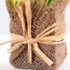 7*7*11cm Succulent plants in Burlap wrap GS-3030314 3 7*7*11cm Succulent plants in Burlap wrap GS-3030314