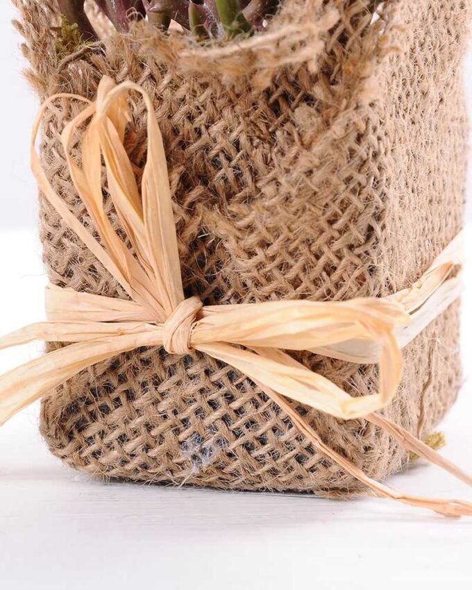 7*7*11cm Succulent plants in Burlap wrap GS-3030316