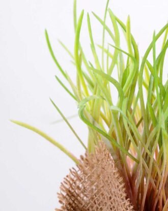 8*8*22CM Succulent plants in Burlap wrap GS-3030319 Succulent YeahFlower is one of Chinese leading OEM manufacturers and exporters , supplying the silk flowers, wholesale artificial trees 8*8*22CM Succulent plants in Burlap wrap GS-3030319