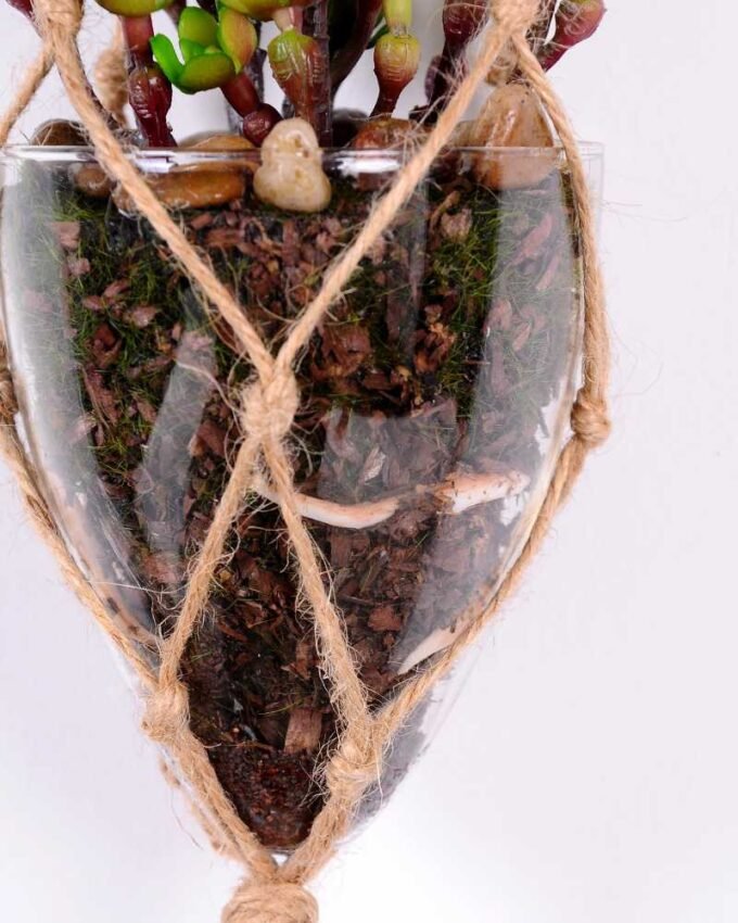 Succulent plants in round glass cup with flax rope: 48cm glass pot size : 8*8*9cm GS-3030320