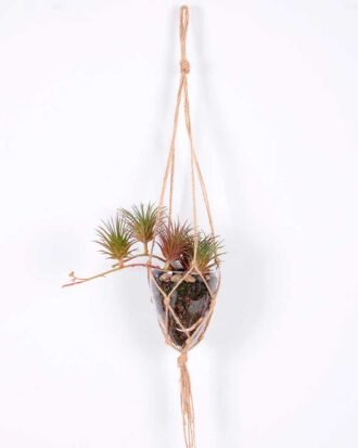 Succulent plants in round glass cup with flax rope: 48cm glass pot size : 8*8*9cm GS-3030321 Succulent YeahFlower is one of Chinese leading OEM manufacturers and exporters , supplying the silk flowers, wholesale artificial trees Succulent plants in round glass cup with flax rope: 48cm glass pot size : 8*8*9cm GS-3030321