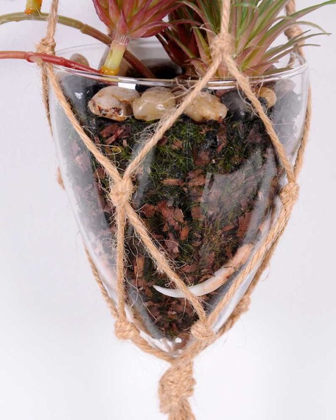 Succulent plants in round glass cup with flax rope: 48cm glass pot size : 8*8*9cm GS-3030321