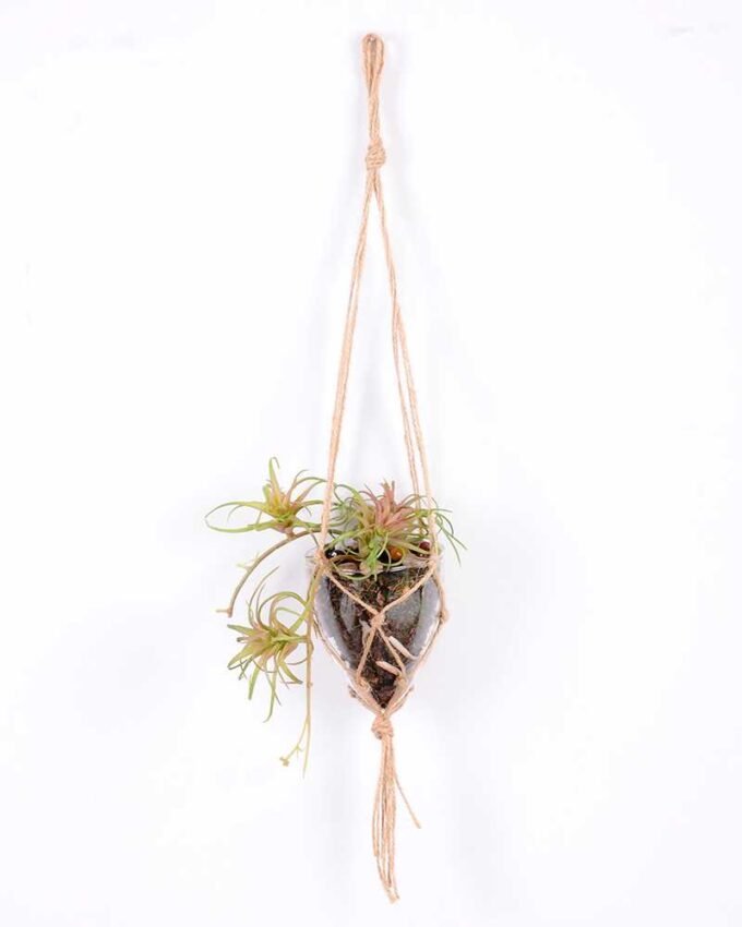 Succulent plants in round glass cup with flax rope: 48cm glass pot size : 8*8*9cm GS-3030322