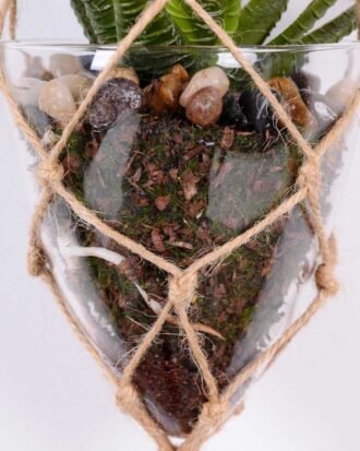 Succulent plants in round glass cup with flax rope: 64cm glass pot size : 10*10*12cm GS-3030323