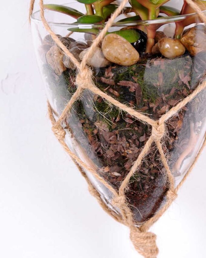 Succulent plants in round glass cup with flax rope: 64cm glass pot size : 10*10*12cm GS-3030325