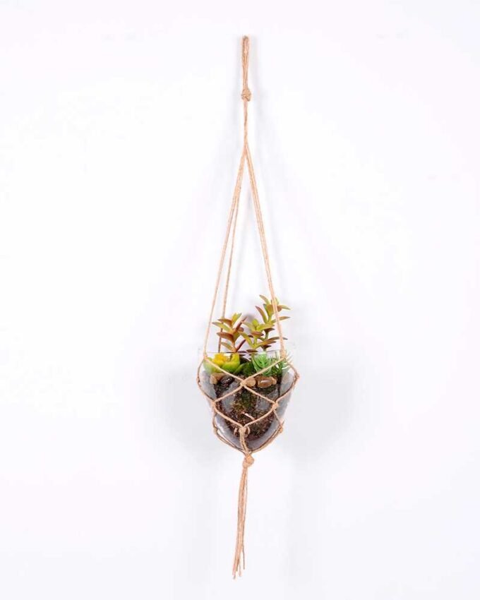 Succulent plants in round glass cup with flax rope: 72cm glass pot size : 11*11*13cm GS-3030327 1 Succulent plants in round glass cup with flax rope: 72cm glass pot size : 11*11*13cm GS-3030327