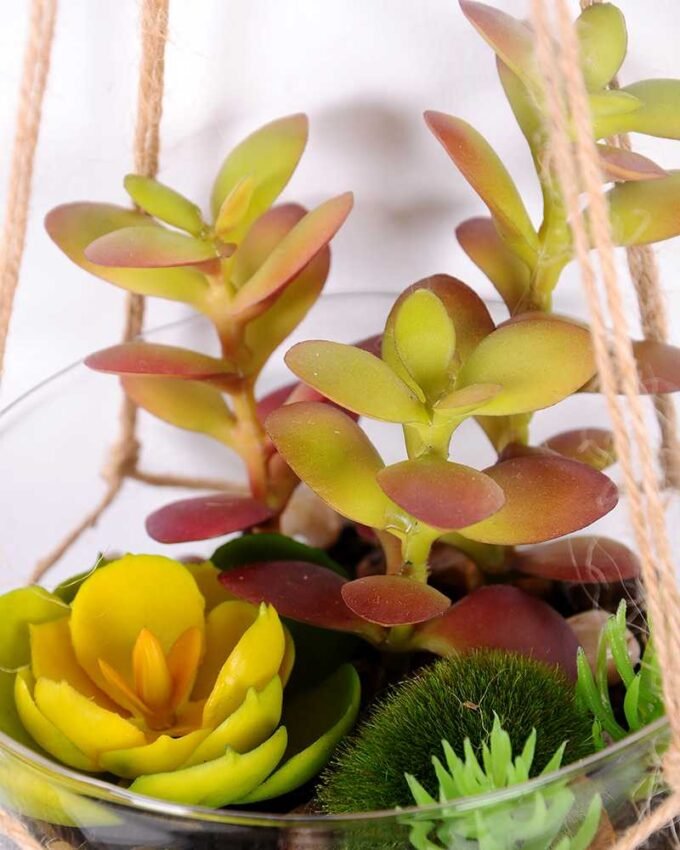 Succulent plants in round glass cup with flax rope: 72cm glass pot size : 11*11*13cm GS-3030327 2 Succulent plants in round glass cup with flax rope: 72cm glass pot size : 11*11*13cm GS-3030327