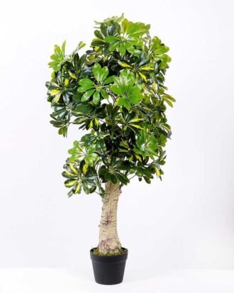 60*150CM Seven?star?tree GS-3040061