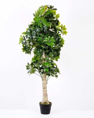 50*150CM Seven?star?tree GS-3040062