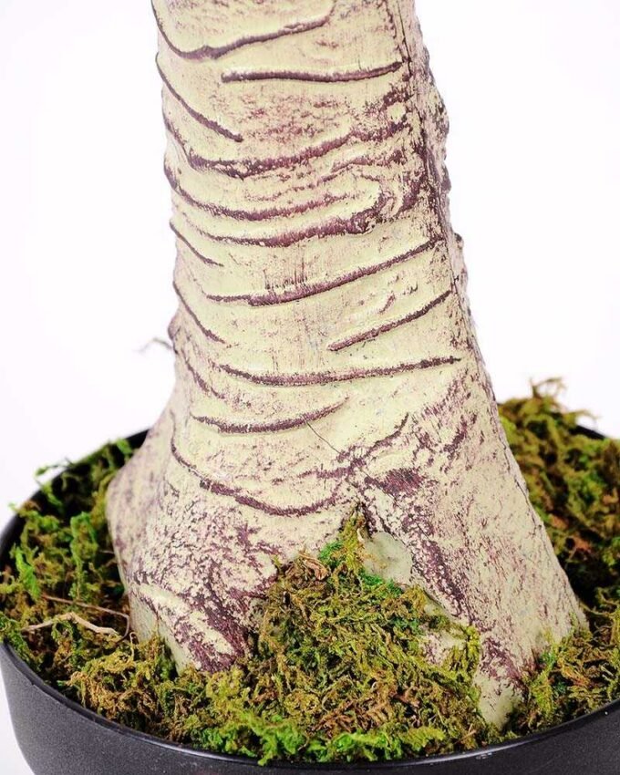 50*150CM Seven?star?tree GS-3040062